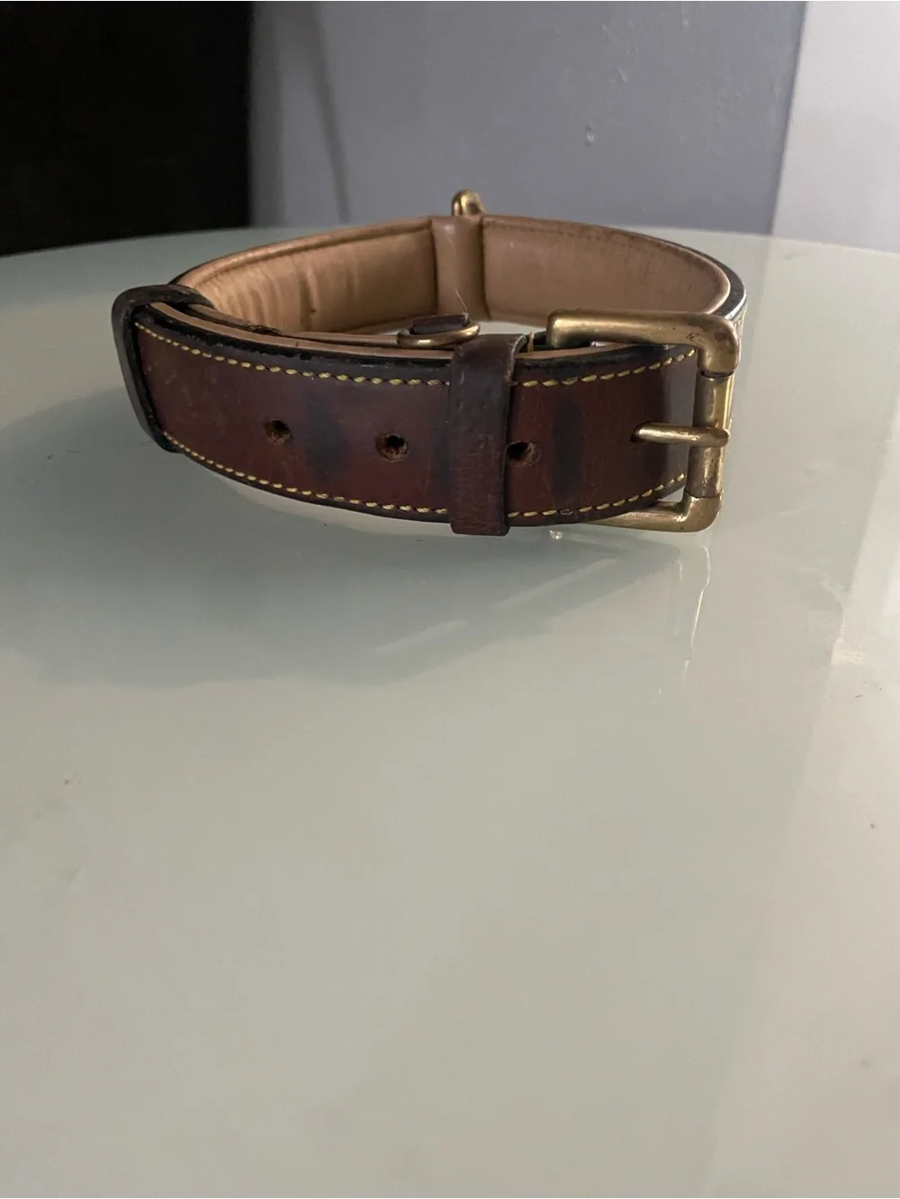 large leather dog collar